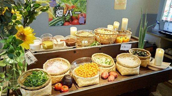 都野菜 賀茂 京都水族館前店